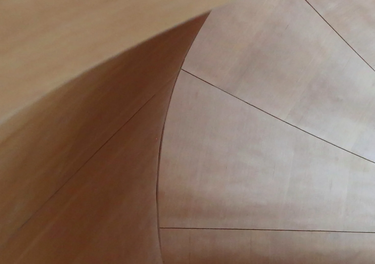 Curved wooden panelling in a modern interior